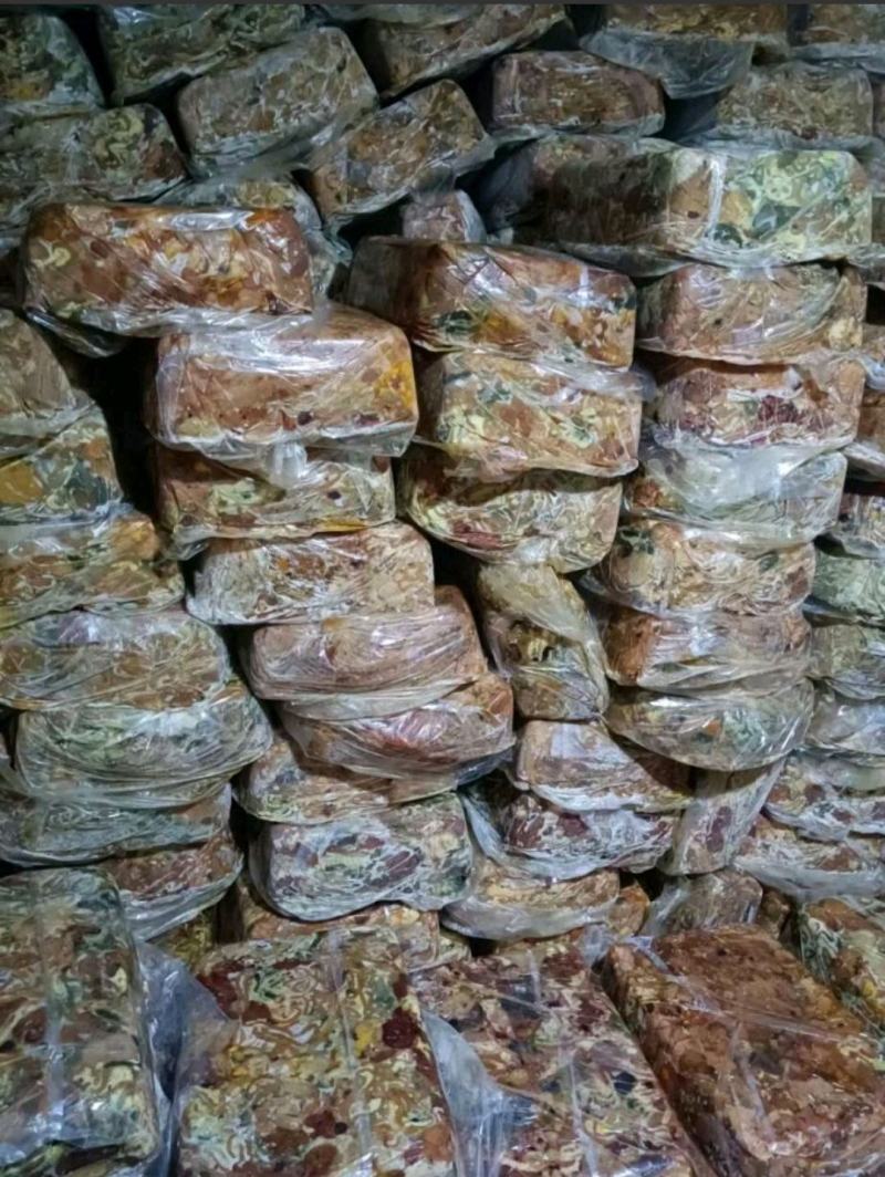 蛋鸡肠工厂直发全新货