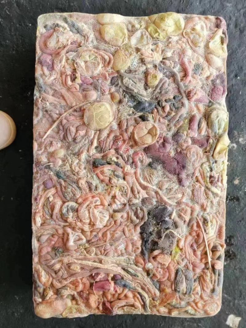 蛋鸡肠工厂直发全新货