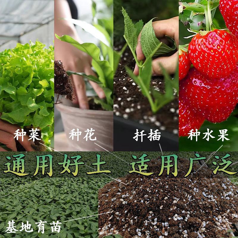 育苗基质，营养土，瓜果蔬菜专用，高端营养土，来自大自然！
