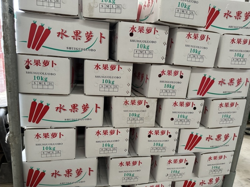 大荔秤杆红萝卜胡萝卜水果萝卜基地种植货源充足全国发货
