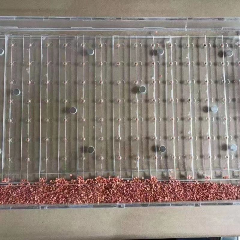 穴盘播种器，茄子辣椒等蔬菜播种器，一件代发！可以定制神器