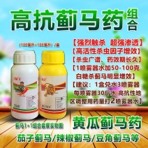 蓟马专用药蓟马杀虫剂蓟马绝杀蓟马1+1专打抗性蓟马药