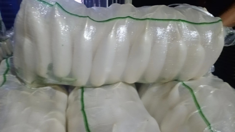 精品白萝卜