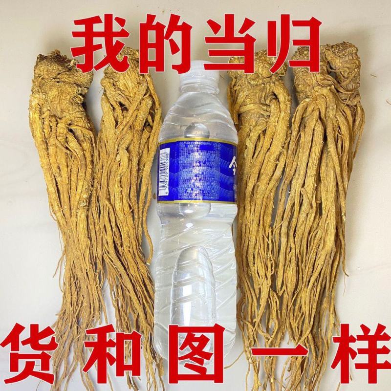中药材当归个当归个子整条当归头片当归片黄芪党参岷县当归包