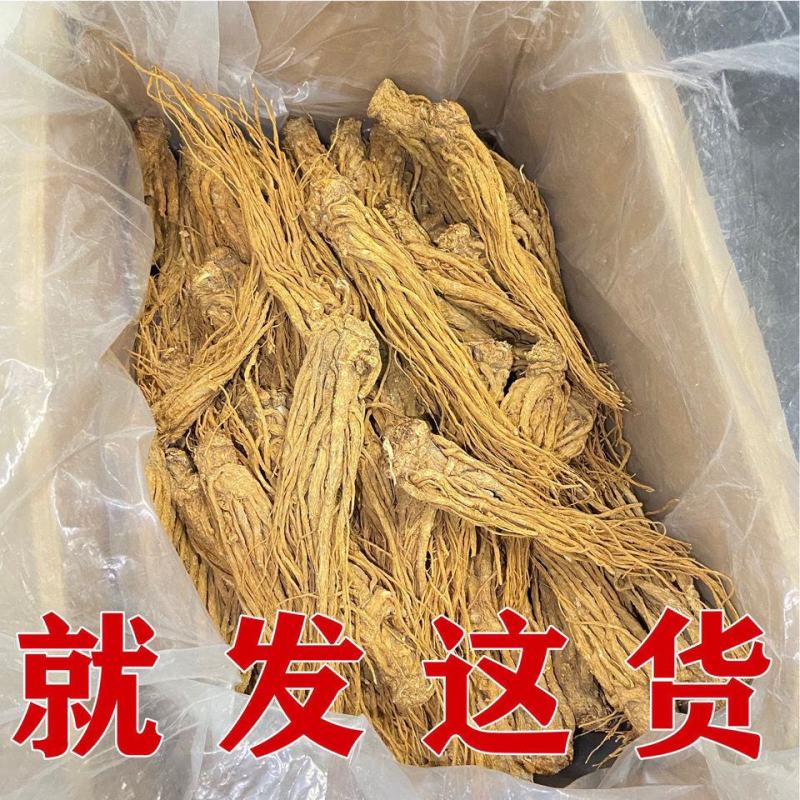 中药材当归个当归个子整条当归头片当归片黄芪党参岷县当归包