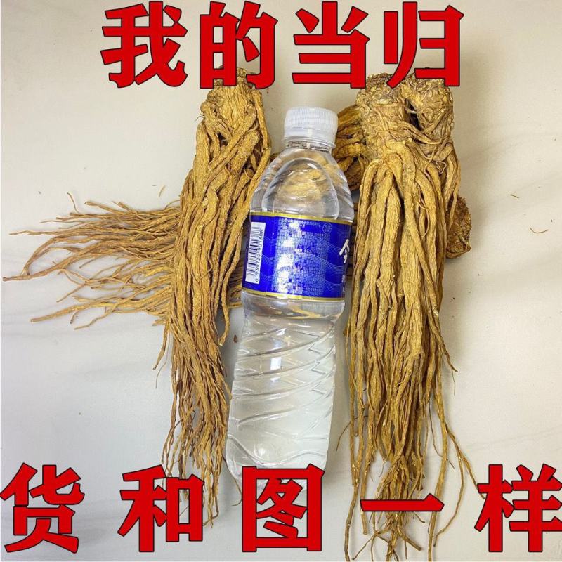 中药材当归个当归个子整条当归头片当归片黄芪党参岷县当归包