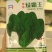 绿霸王菠菜种子