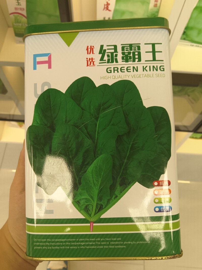 绿霸王菠菜种子