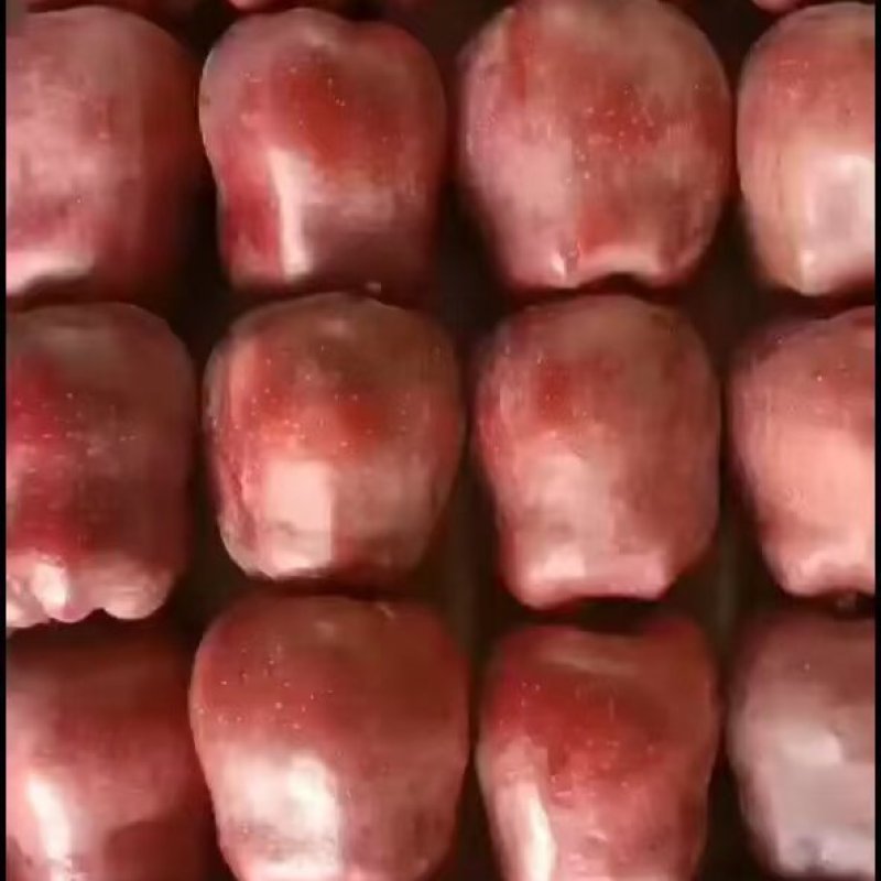 甘肃秦安高山精品花牛