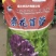 大量供应进口紫花苜蓿种子包芽率国内送货上门