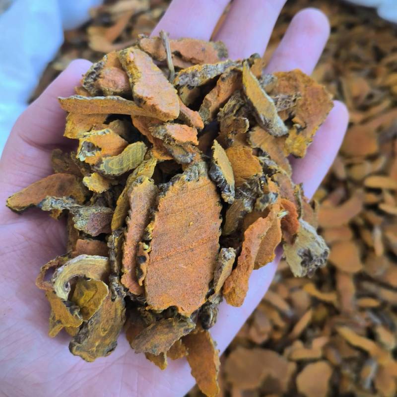 姜黄色姜黄永发药业中药材批发手机实物拍摄