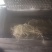 新品鱼腥草上市量大优惠机器洗统货