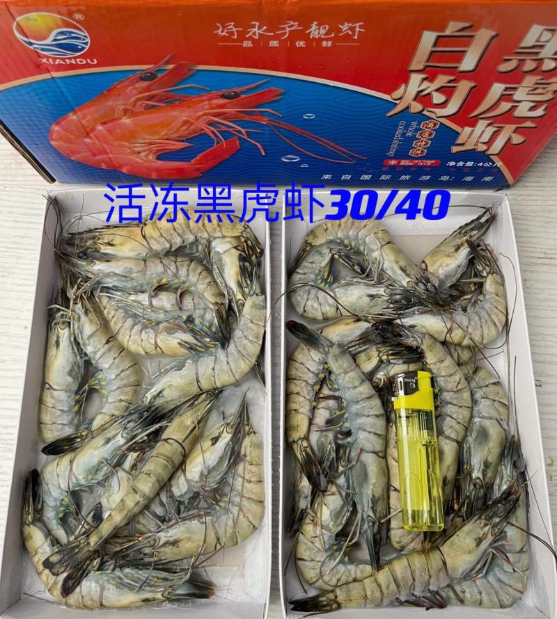 海水虾/活冻/超红/超鲜/斑节虾/金刚虾/黑虎虾
