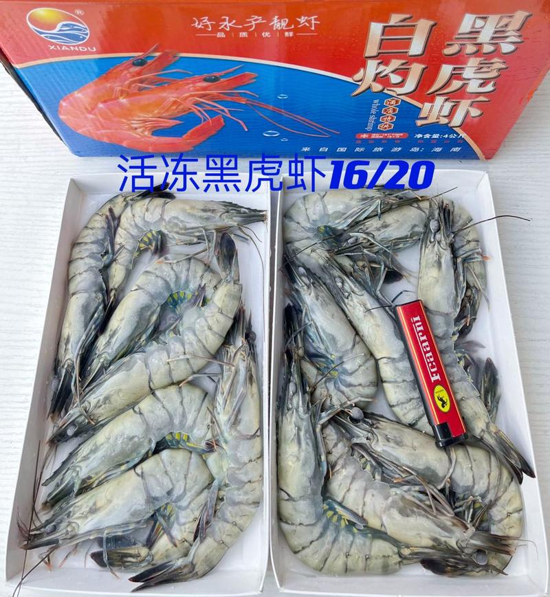 海水虾/活冻/超红/超鲜/斑节虾/金刚虾/黑虎虾