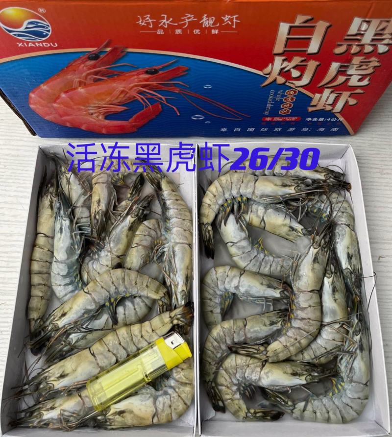 海水虾/活冻/超红/超鲜/斑节虾/金刚虾/黑虎虾