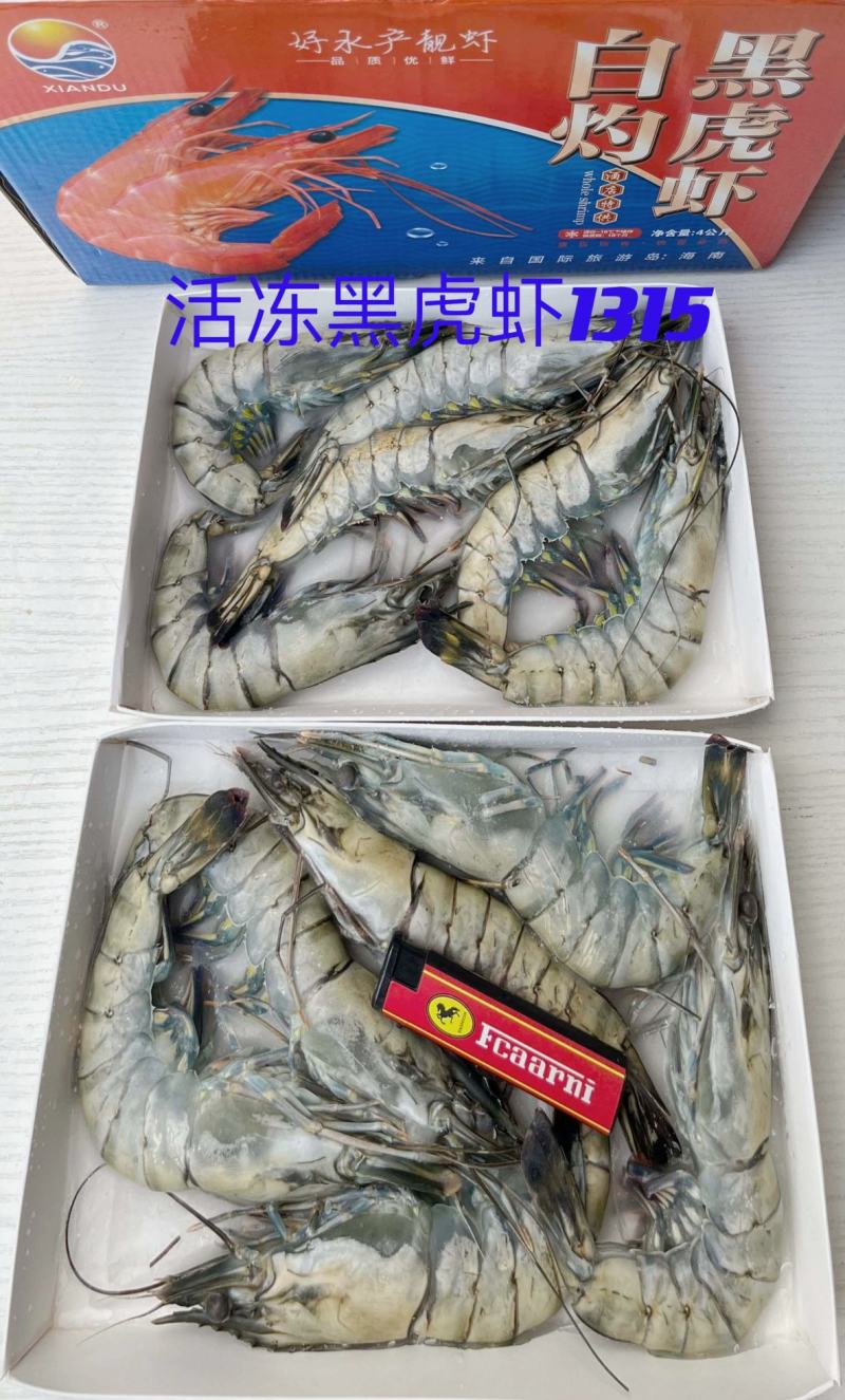 海水虾/活冻/超红/超鲜/斑节虾/金刚虾/黑虎虾