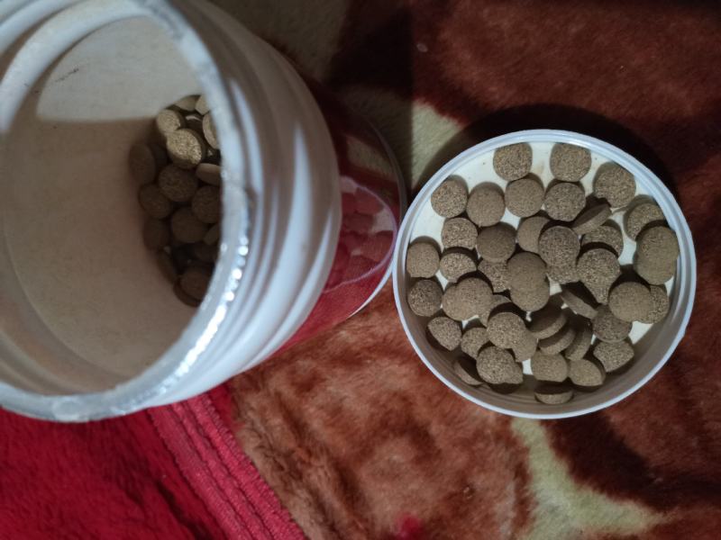 男士精华糖果压片