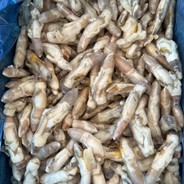 200克一包，蛏王肉
