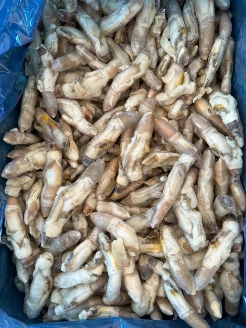 200克一包，蛏王肉
