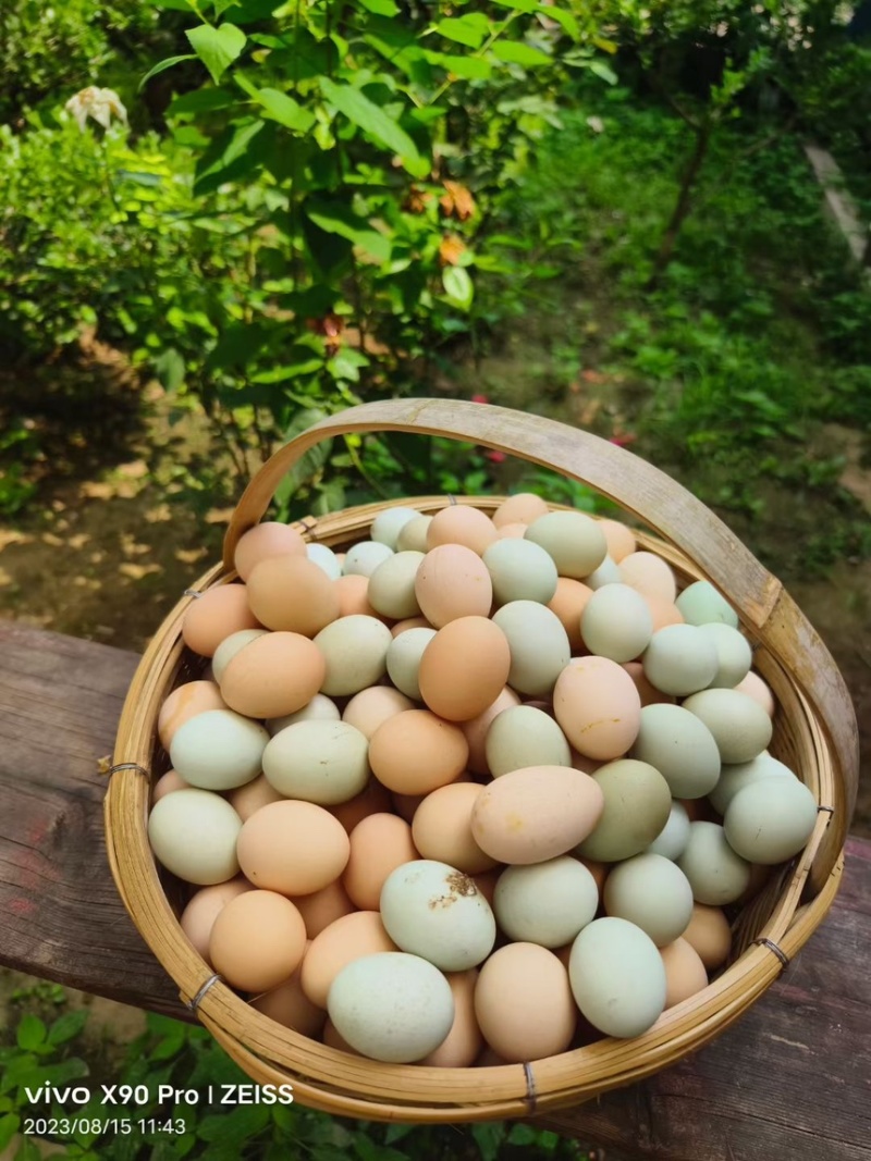 农家(鸡,鸭,鹅)蛋,(鸡,鸭,鹅)肉