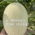 玉门哈密瓜25号白哈密瓜产地25号白皮哈密瓜批发基地