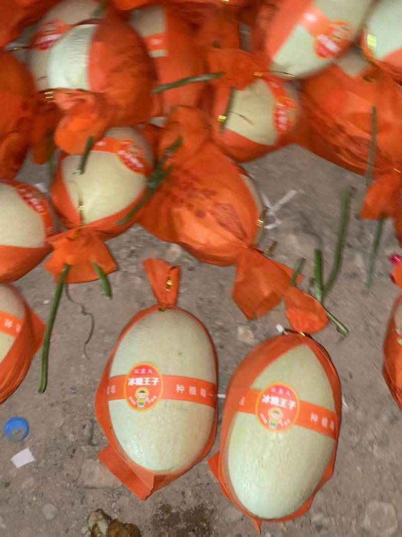 玉门哈密瓜25号白哈密瓜产地25号白皮哈密瓜批发基地