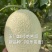 玉门哈密瓜25号白哈密瓜产地25号白皮哈密瓜批发基地