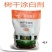 国光膜泰树干涂白剂20KG