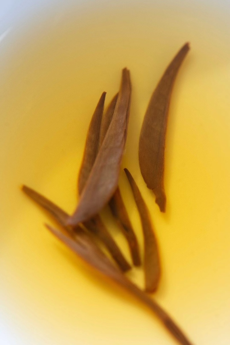 金骏眉茶叶武夷山红茶新茶小罐装茶250克花蜜香送礼包邮