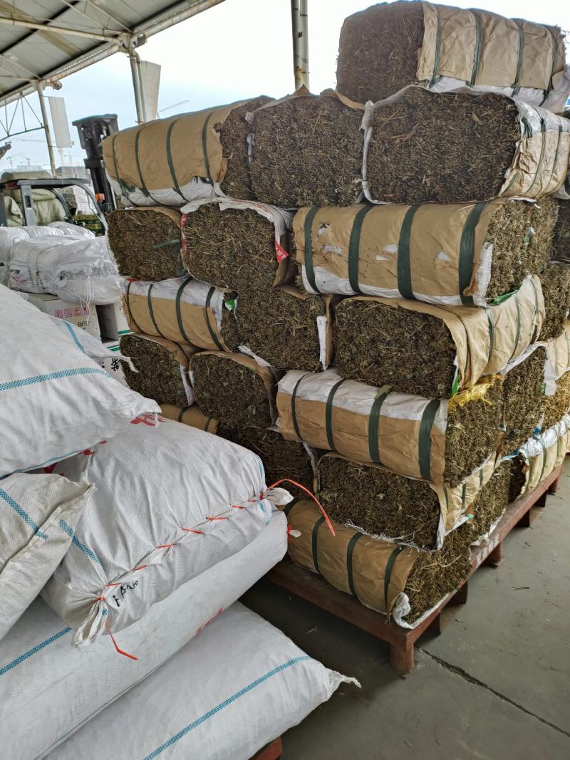 新货干粽叶野生大粽叶箬竹叶麻竹叶粽叶粽粑叶粑粑叶发糕叶子