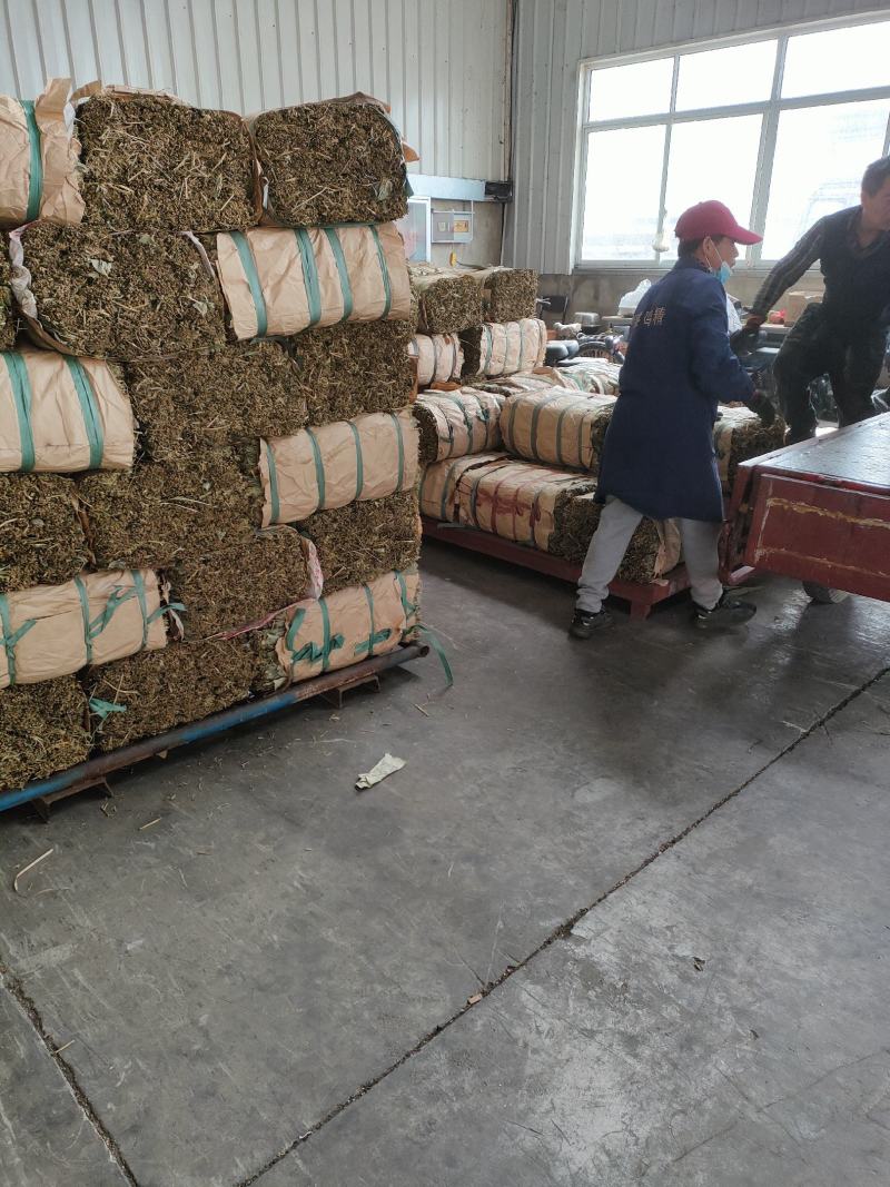 新货干粽叶野生大粽叶箬竹叶麻竹叶粽叶粽粑叶粑粑叶发糕叶子