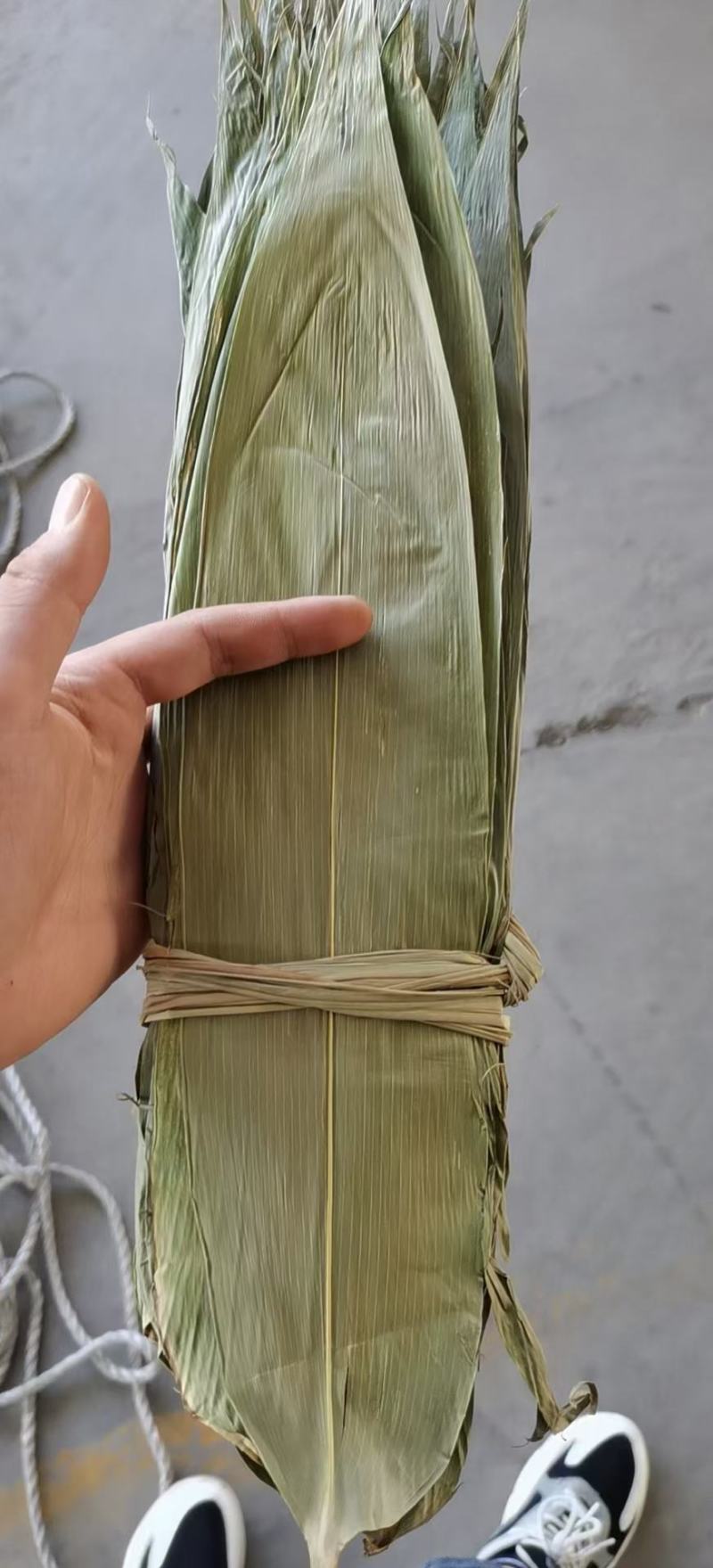 粽子叶野生干粽叶整捆粽叶50斤箬叶统货粑粑糕叶