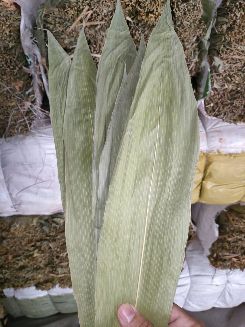 粽子叶野生干粽叶整捆粽叶50斤箬叶统货粑粑糕叶