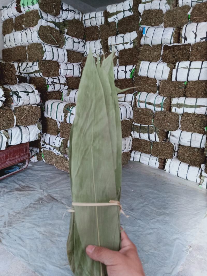 粽子叶野生干粽叶整捆粽叶50斤箬叶统货粑粑糕叶
