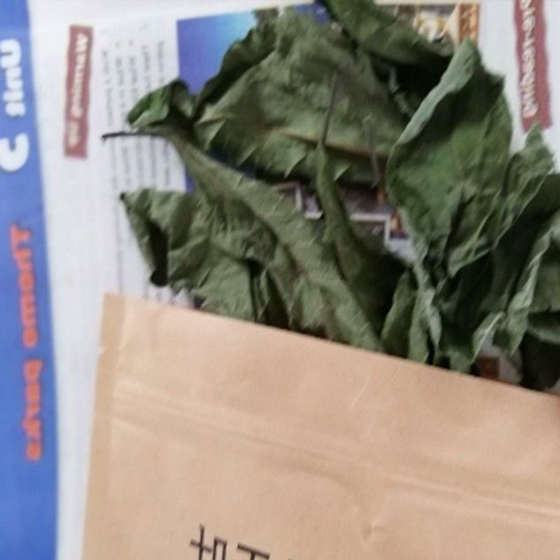 广西南非干叶农夫自种自晒南非干叶将军叶天然新鲜晒干清热高