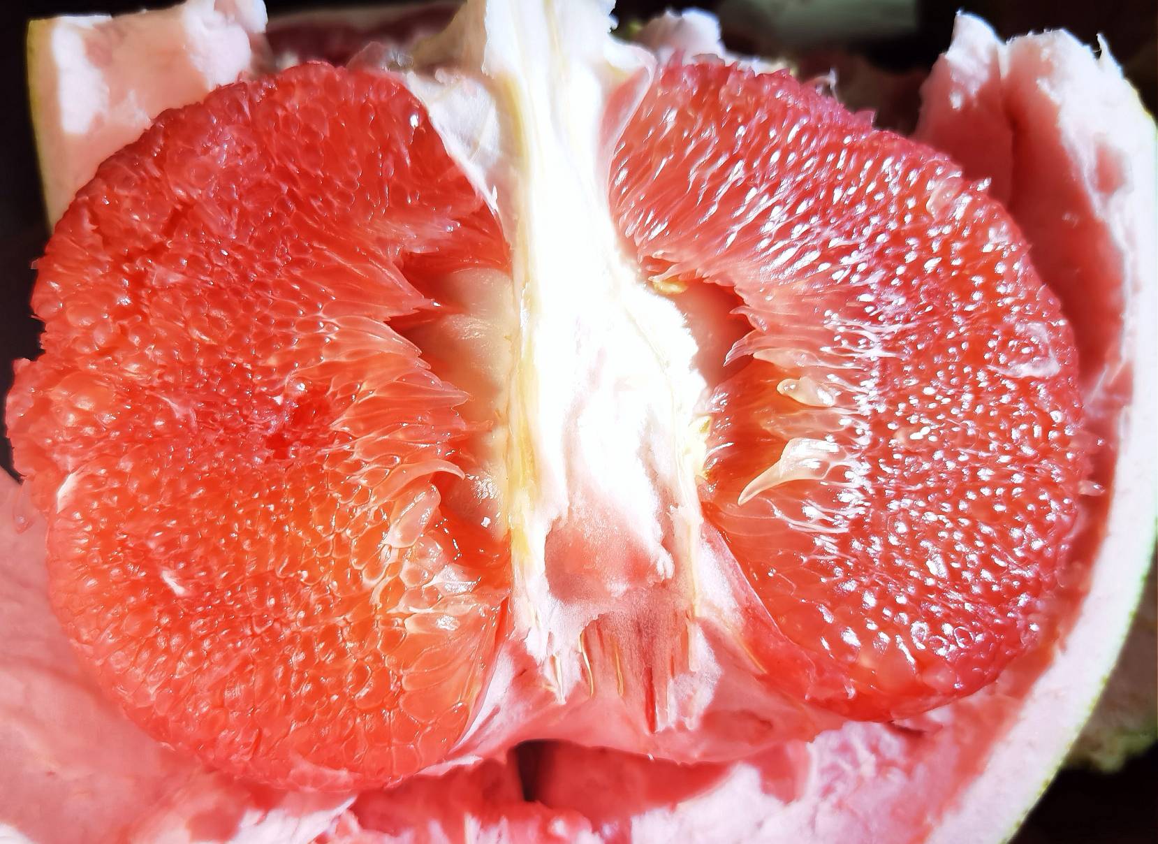 红宝石葡萄柚果实特写
