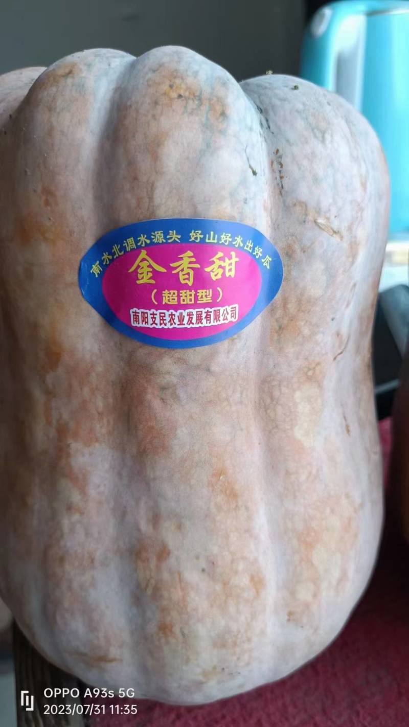 金香南瓜