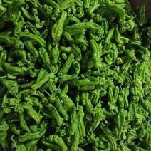 新鲜薄皮椒，大棚种植新苗上市，货量充足，欢迎抢购。