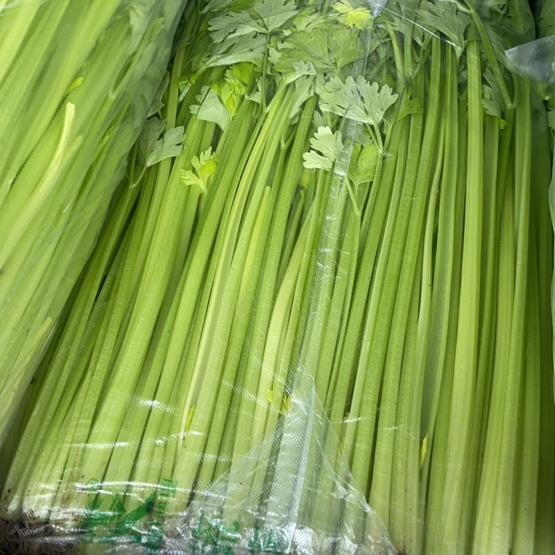 江苏芹菜香芹产地直发欢迎来电咨询品质保障