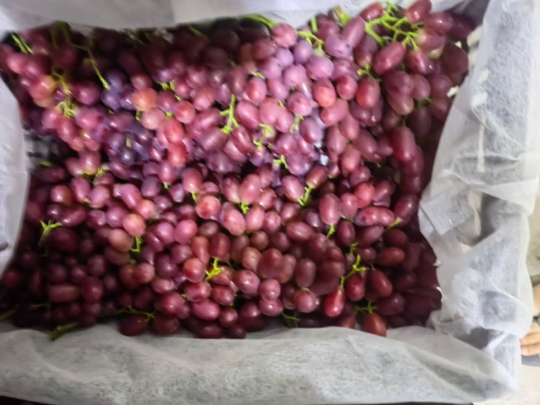 葡萄带皮食用示意图