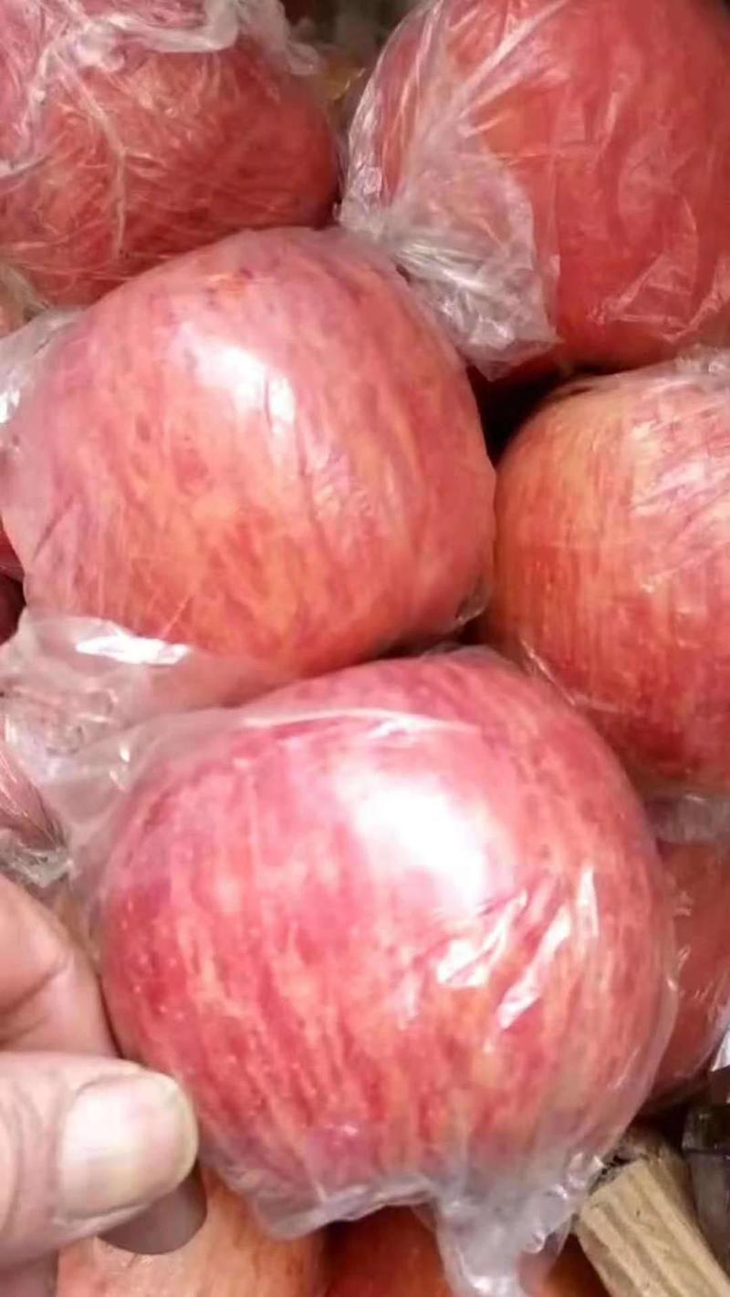 山西冰糖心红富士苹果纸膜苹果电商市场商超批发价