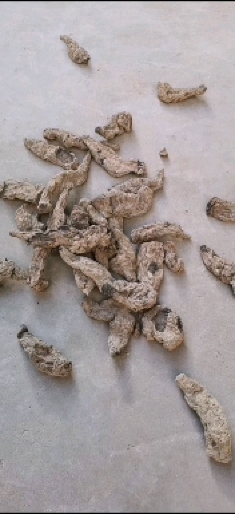 地黄鲜货干货承接批发药厂一手货源