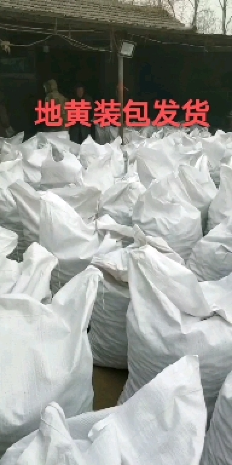 地黄鲜货干货承接批发药厂一手货源