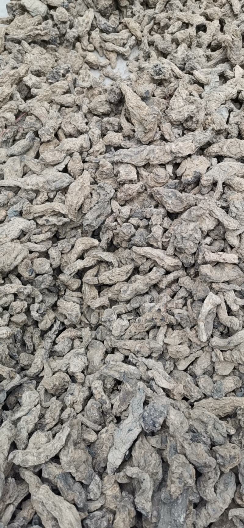 地黄鲜货干货承接批发药厂一手货源