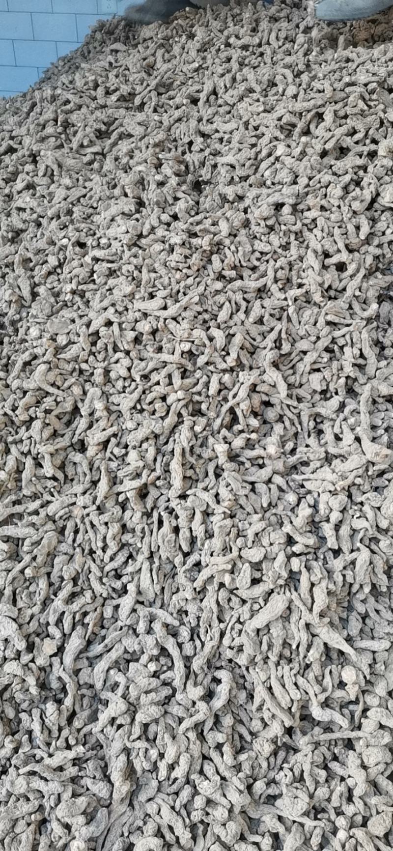 地黄鲜货干货承接批发药厂一手货源