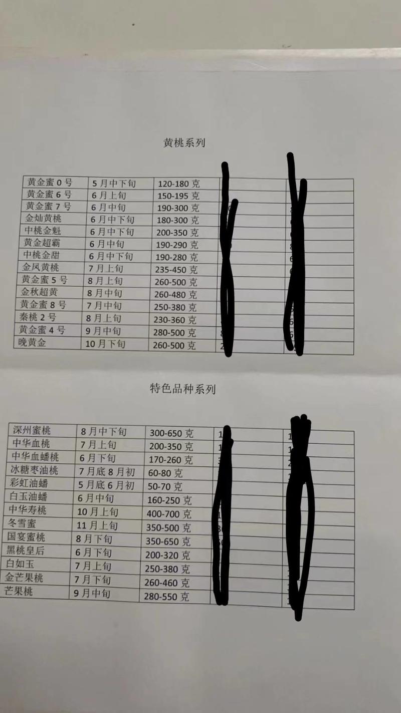 各种蟠桃黄金蜜桃油桃红毛桃桃树苗子一手货源