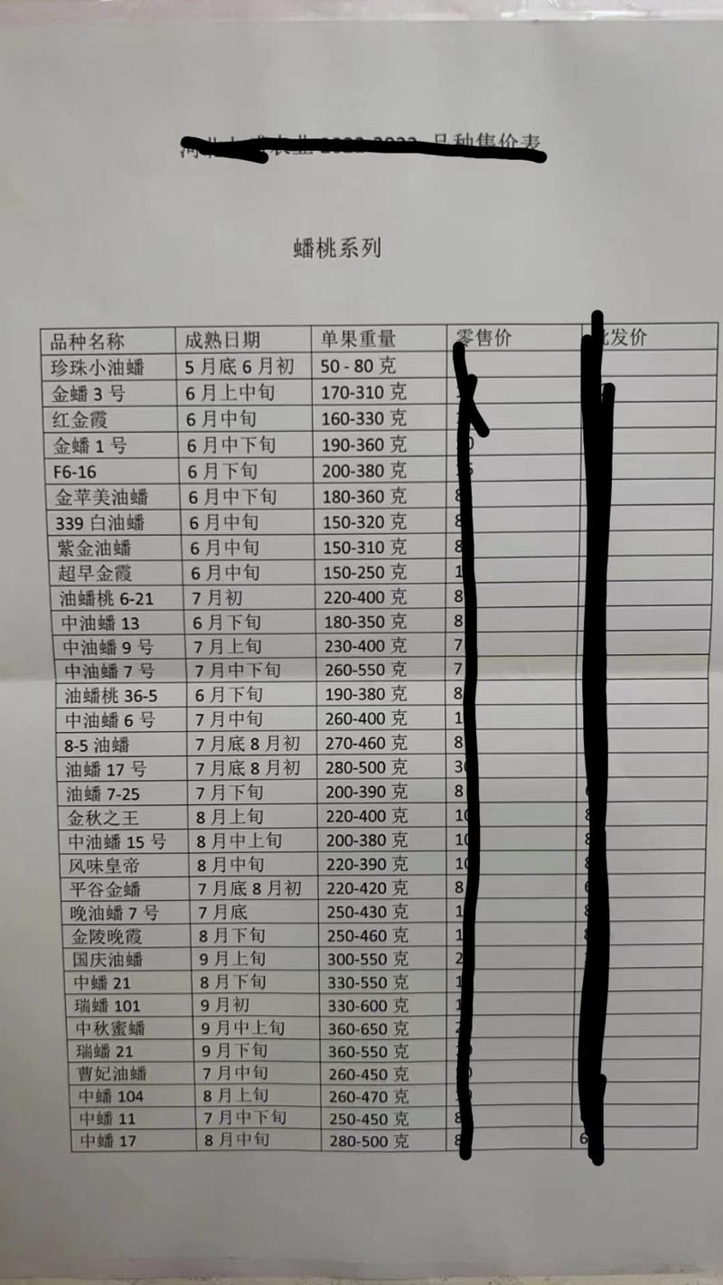 各种蟠桃黄金蜜桃油桃红毛桃桃树苗子一手货源