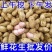 花生品质保证诚信经营欢迎联系接商超市场电商