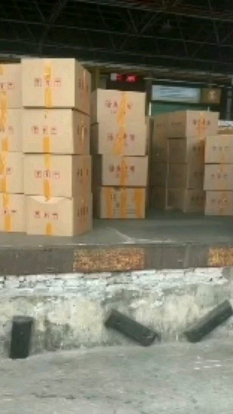 优质翘嘴鱼苗，翘嘴白鱼苗，鱼场直供，可全国陆空运。