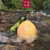 三红